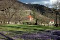 2009-03-18, Krokuswiesen (6)